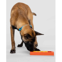 Individuele Pawzler: Zhu